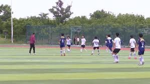 水晶宫俱乐部宣布萨热成为新任主教练